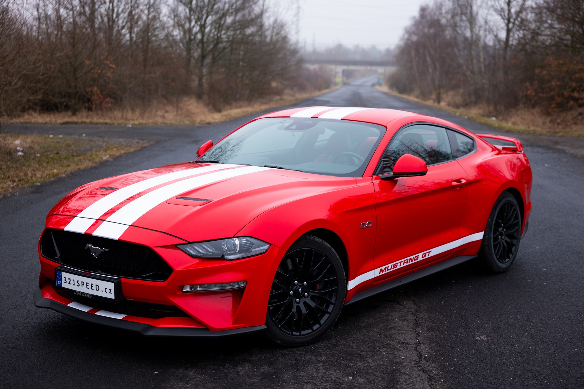 Ford Mustang GT 5.0 V8 Coupe Red